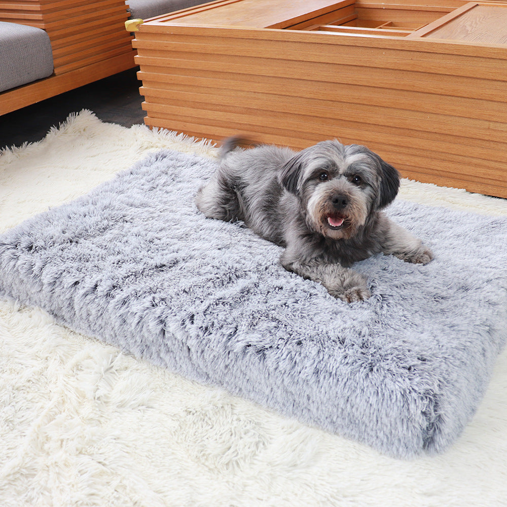 10 Best Dog Beds for Senior Dogs with Arthritis