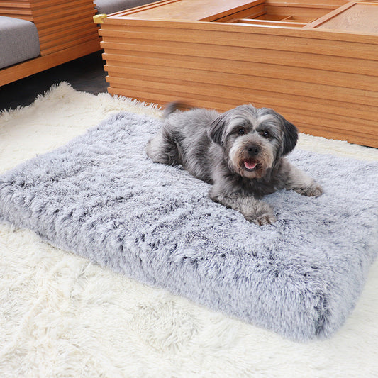 10 Best Dog Beds for Senior Dogs with Arthritis