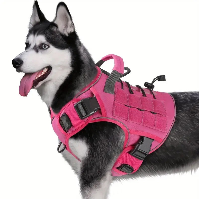 Safety